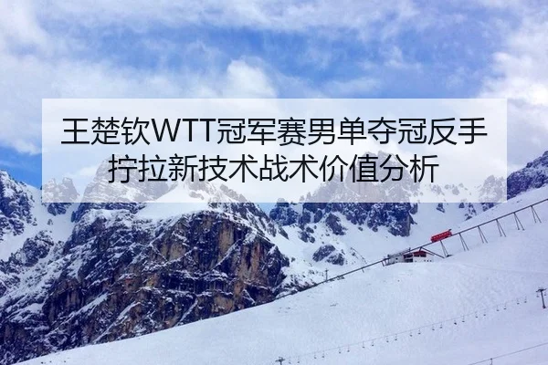王楚钦WTT冠军赛男单夺冠反手拧拉新技术战术价值分析