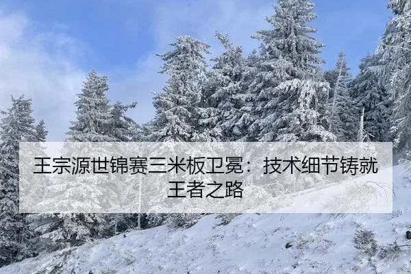 wang-zong-yuan-shi-jin-sai-san-mi-ban-wei-mian-ji-shu-xi-jie-zhu-jiu-wang-zhe-zhi-lu-2-222.jpg